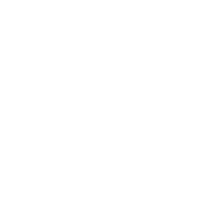feature-item-1